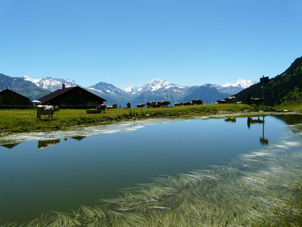 Chalet Enzian Riederalp Exterior photo