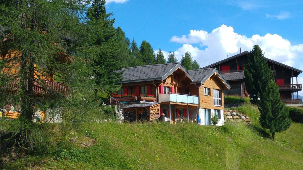 Chalet Enzian Riederalp Exterior photo